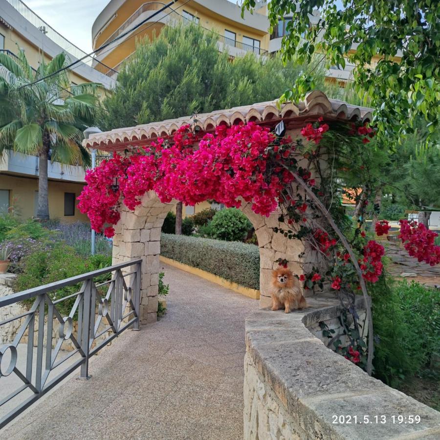 Apartamento Con Piscina A Unos Metros De La Playa Moraira Exterior photo